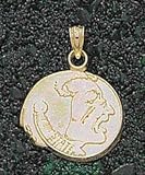 Anderson Jewelry Florida State Seminoles Seminole Gold Charm