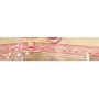Hello Kitty Princess Wallpaper Border