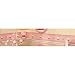 Hello Kitty Princess Wallpaper Border