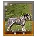 Dogs Australian Cattle - Australian Cattle Dog - Desk Clocks