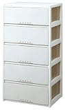 プロフィックス ルームケース L-6005 (深型5段:幅60x奥行45) カプチーノ
