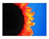 Solar Flare Emerging Artists Photographic Poster Print by Philip Rugel, 10x8