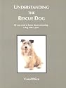 Understanding the Rescue Dog: All You Need to Know About Re-homing a Dog with a Past