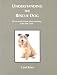 Understanding the Rescue Dog: All You Need to Know About Re-homing a Dog with a Past