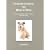 Understanding the Rescue Dog: All You Need to Know About Re-homing a Dog with a Past