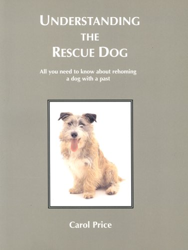 Understanding the Rescue Dog: All You Need to Know About Re-homing a Dog with a Past