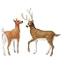 DEER (WHITE-TAILED) by Noah's Pals