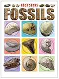 Fossils (Rock Stars)