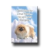 Pekingese True Friend Fridge Magnet