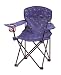 Coleman Constellation Quad Chair