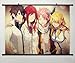 Home Decor Anime Fairy Tail Cosplay Wall Scroll Poster Fabric Painting Key Roles 23.6 X 17.7 Inches-214