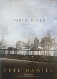 North River: A Novel