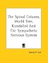 The Spinal Column, World Tree, Kundalini And The Sympathetic Nervous System