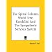 The Spinal Column, World Tree, Kundalini And The Sympathetic Nervous System