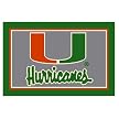 University of Miami Rug - Green/ Orange (Rectangle)