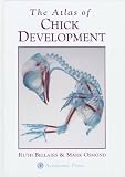 The Atlas of Chick Development