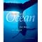 Heading out to sea: ocean writing at its best