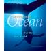 Heading out to sea: ocean writing at its best