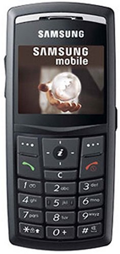 Samsung X820 Unlocked Cell Phone with 2 MP Camera, MP3 Player--International Version with No Warranty (Black)