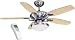 Daytona Ceiling Fan Stailess Steel With Maple/Silver Blades Remote Control And 100 Watt Halogen Ligh