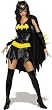 Batgirl DC Comics Superhero Sexy Adult Women's Costume