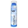 Boiron Homeopathic Medicine Pulsatilla, 6C Pellets, 80-Count Tubes (Pack of 5)