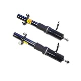 1986-1990 Buick Electra or Electra Park Ave Rear Air Suspension Conversion Kit by Strutmasters