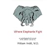 Where Elephants Fight: An Autobiographical Account of the Liberian Civil War