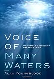 Buku tentang Electric Water Heater item: Voice of Many Waters: Irrefutable Evidence of Life After Death