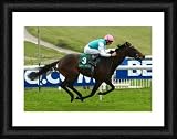 Horse Racing - Blue Square Spring Meeting - Epsom Downs Racecourse - Framed Print 16x12 (40x30cm) by PA Photos