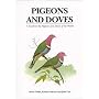 Pigeons & Doves de David Gibbs