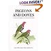 Pigeons and Doves: A Guide to Pigeons and Doves of the World