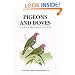 Pigeons and Doves: A Guide to Pigeons and Doves of the World