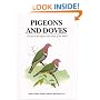 Pigeons and Doves: A Guide to Pigeons and Doves of the World