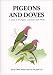 Pigeons and Doves: A Guide to Pigeons and Doves of the World