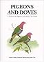 Pigeons & Doves