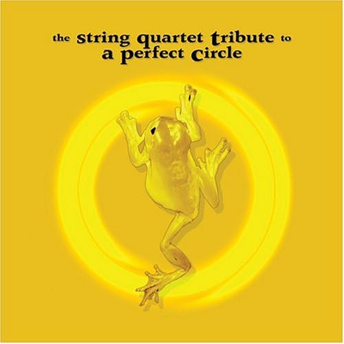 The String Quartet Tribute to a Perfect Circle
