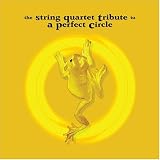 The String Quartet Tribute to A Perfect Circle