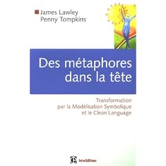 Des m�taphores dans la t�te : Transformation par la Mod�lisation Symbolique et le Clean Langage