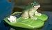 Solar-Frosch