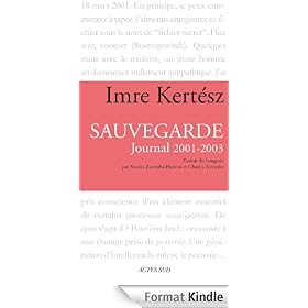 Sauvegarde: Journal 2001-2003