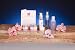 DermaVital 21 Day Challenge Kit