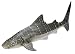 Schleich Whale Shark_s-2