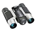 Bushnell 111025 11 1025 Imageview[tm] Digital Imaging Binocular [10 X 25mm] (bushnell 111025)