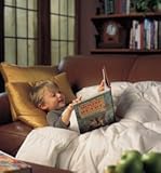 IMAGE OF Monarch Hypodown Comforter/Duvet - King - Southern/600 Loft