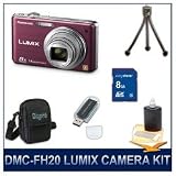 Panasonic LUMIX DMC-FH20V FH20V FH20 Violet Digital Camera, with 8 GB Memory Card, Card Reader, Deluxe Carrying Case, Mini Tripod, & 3pc. Lens Cleaning Kit