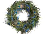 Real Authentic Peacock Feather Wall Art Wreath