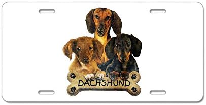 Aluminum License Plate Dachshund Trio with Bone Name Plate
