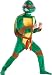 Search : TMNT Raphael Classic Muscle Child Costume