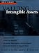 Valuing Intangible Assets